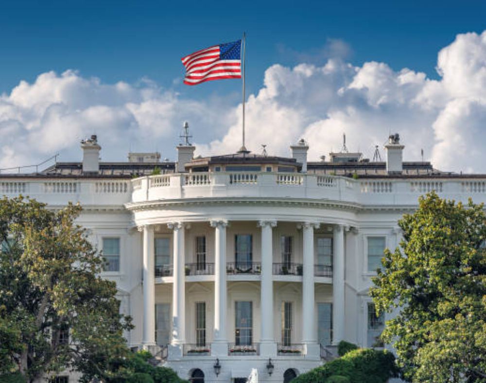 Launch Your LLC Today. Scale It Tomorrow.